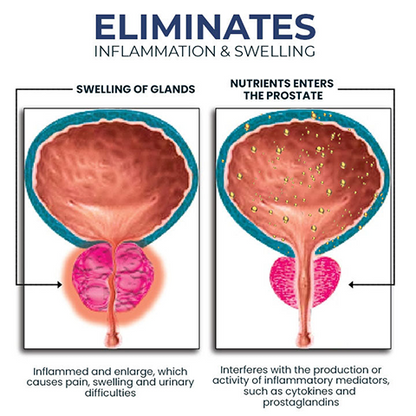 NESLEMY™ BeeBoom NASAL INHALER FOR PROSTATE WELLNESS